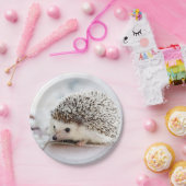 ベビーハリネズミ ペーパープレート (パーティー)