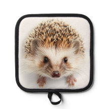 ベビーハリネズミ