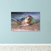 ベビーハーバーシール キャンバスプリント (インサイチュ (ウッドフロア))