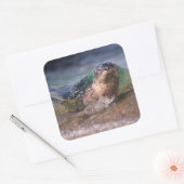 ベビーハーバーシール スクエアシール (封筒)