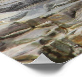 ベビーハーバーシール，バーハーバーメイン ポスター (角)