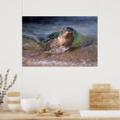 ベビーハーバーシール ポスター (キッチン)