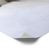 ベビーハープシール ポスター (角)