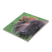 ベビーバイソンカーフプレイインオンママムズバック タイル (側面)