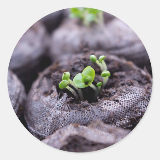 ベビーバジル工場 ラウンドシール (正面)