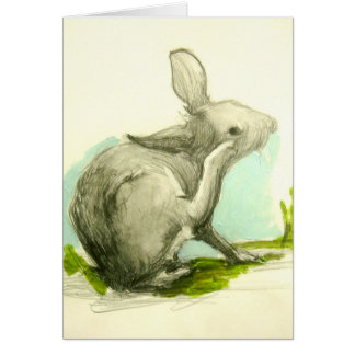 ベビーバニーが彼の耳を引っ掻く