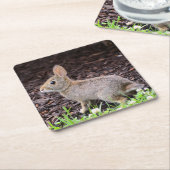 ベビーバニーコースター スクエアペーパーコースター (アングル)