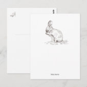 ベビーバニー葉書 ポストカード (正面/裏面)