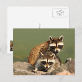 ベビーバンド ポストカード (正面/裏面)