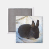 ベビーバンマグネット – リトルマグオ マグネット (正面/裏面)