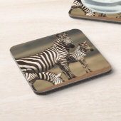 ベビーバーチェルのシブラと母 コースター (左側)