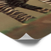 ベビーバーチェルのシブラと母 ポスター (角)