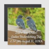 ベビーバーンスワローズ自然鳥写真 (正面/裏面)