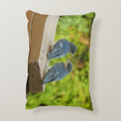 ベビーバーンスワローズ自然鳥写真 アクセントクッション (裏面(縦))