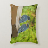 ベビーバーンスワローズ自然鳥写真 アクセントクッション (正面(垂直))