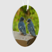 ベビーバーンスワローズ自然鳥写真 オーナメント (正面)