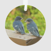 ベビーバーンスワローズ自然鳥写真 オーナメント (裏面)