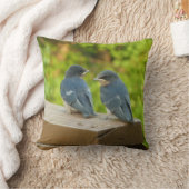 ベビーバーンスワローズ自然鳥写真 クッション (ブランケット)
