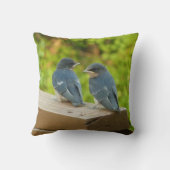 ベビーバーンスワローズ自然鳥写真 クッション (裏面)