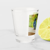 ベビーバーンスワローズ自然鳥写真 ショットグラス (左)