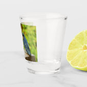 ベビーバーンスワローズ自然鳥写真 ショットグラス (右)