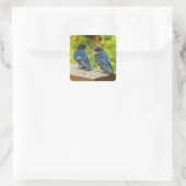 ベビーバーンスワローズ自然鳥写真 スクエアシール (バッグ)