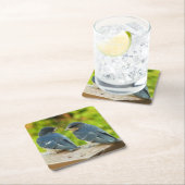 ベビーバーンスワローズ自然鳥写真 スクエアペーパーコースター (インサイチュ)