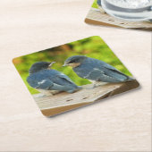 ベビーバーンスワローズ自然鳥写真 スクエアペーパーコースター (アングル)