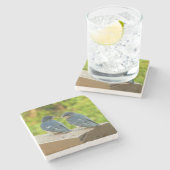 ベビーバーンスワローズ自然鳥写真 ストーンコースター (横)