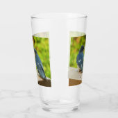 ベビーバーンスワローズ自然鳥写真 タンブラーグラス (左)