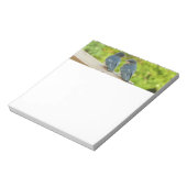 ベビーバーンスワローズ自然鳥写真 ノートパッド (回転)