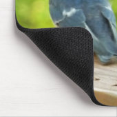 ベビーバーンスワローズ自然鳥写真 マウスパッド (コーナー)