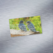 ベビーバーンスワローズ自然鳥写真 マグネット名刺 (インサイチュ)