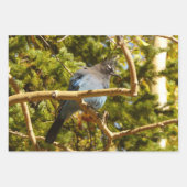 ベビーバーンスワローズ自然鳥写真 ラッピングペーパーシート (正面3)