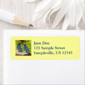 ベビーバーンスワローズ自然鳥写真 ラベル (インサイチュ)