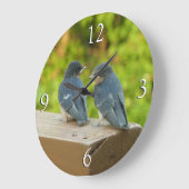 ベビーバーンスワローズ自然鳥写真 ラージ壁時計 (傾斜)