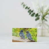 ベビーバーンスワローズ自然鳥写真 名刺 (スタンド正面)