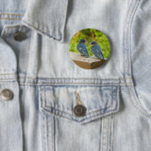 ベビーバーンスワローズ自然鳥写真 缶バッジ (インサイチュ)