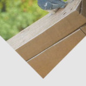 ベビーバーンスワローズ自然鳥写真 薄葉紙 (詳細)