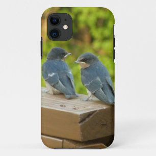 ベビーバーンスワローズ自然鳥写真 iPhone 11 ケース