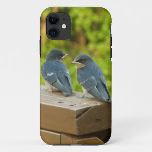 ベビーバーンスワローズ自然鳥写真 iPhone 11 ケース
