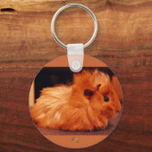 ベビーパウダーパフ – モルモット キーホルダー (正面)