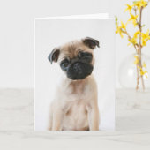 ベビーパグポートレート カード (黄色い花)