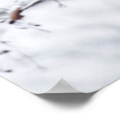 ベビーパンダインツリー ポスター (角)