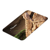 ベビーパーソナライズされたひげドラゴンリザード マグネット (左側)