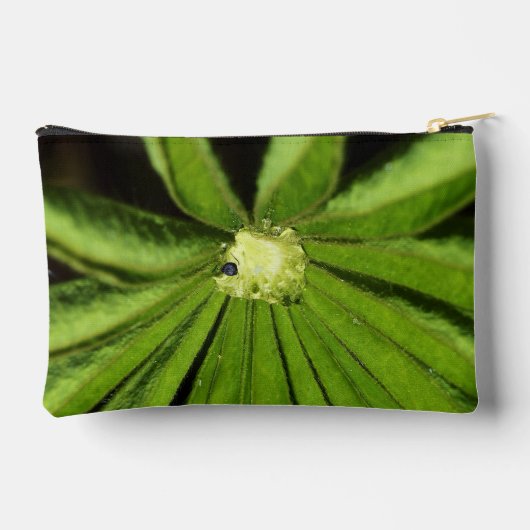 ベビーパームプラントバイシャーリーテイラー アクセサリーポーチ (裏面)