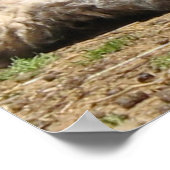 ベビーヒツジ山バーノンエステート2007年4月 ポスター (角)