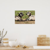 ベビーヒツジ山バーノンエステート2007年4月 ポスター (キッチン)