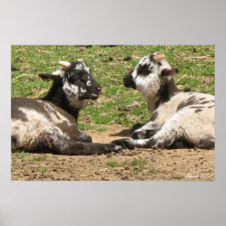 ベビーヒツジ山バーノンエステート2007年4月 ポスター