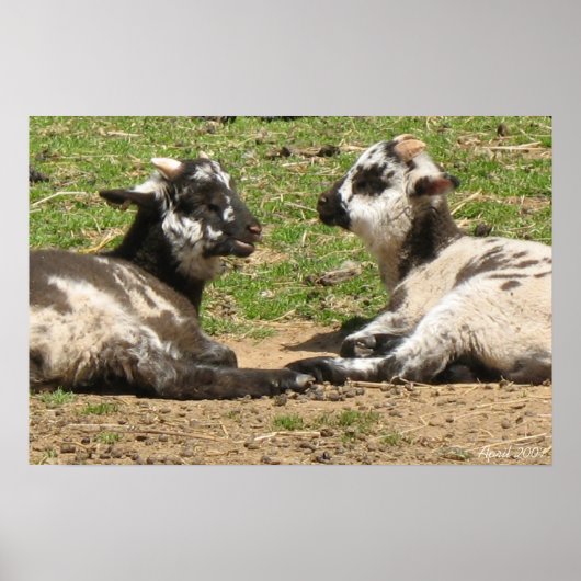 ベビーヒツジ山バーノンエステート2007年4月 ポスター (正面)